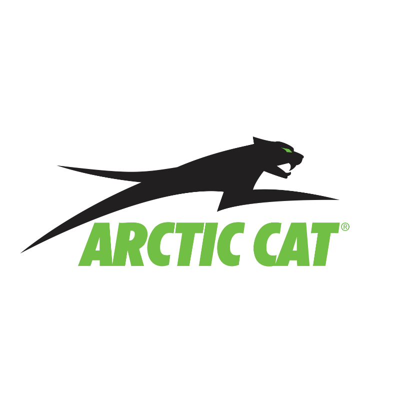 ARCTIC CAT SNOW