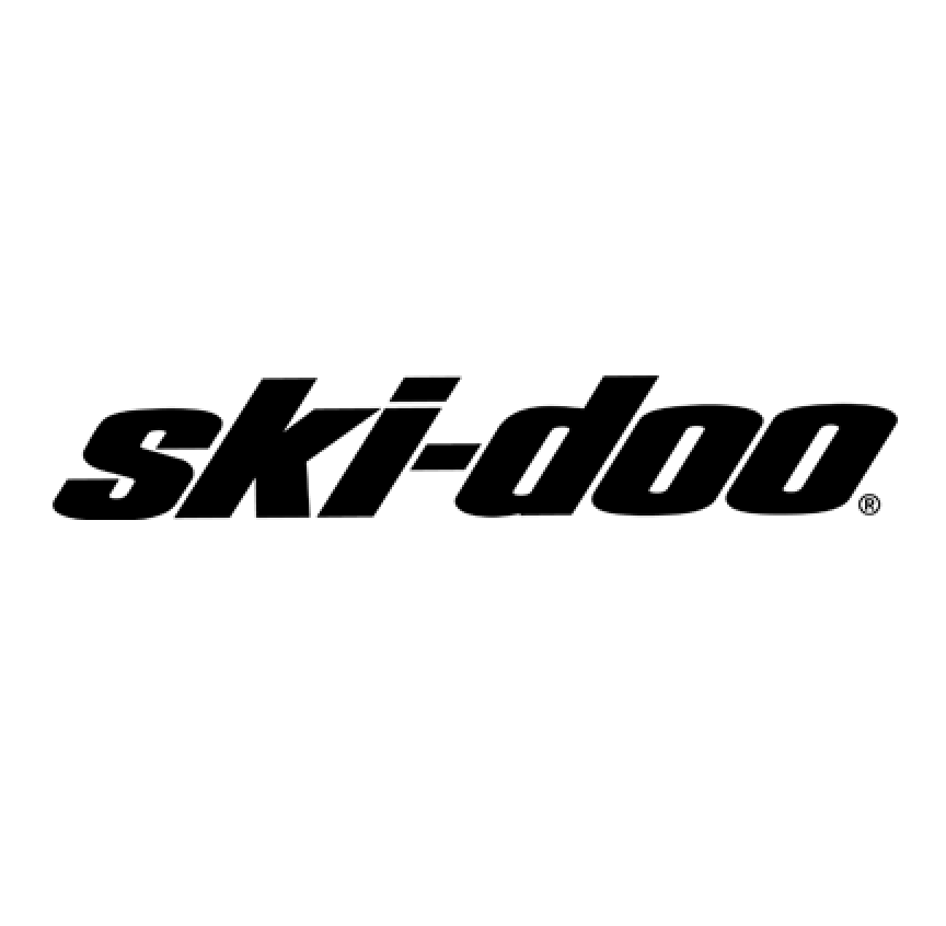 SKIDOO SNOW